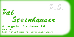 pal steinhauser business card